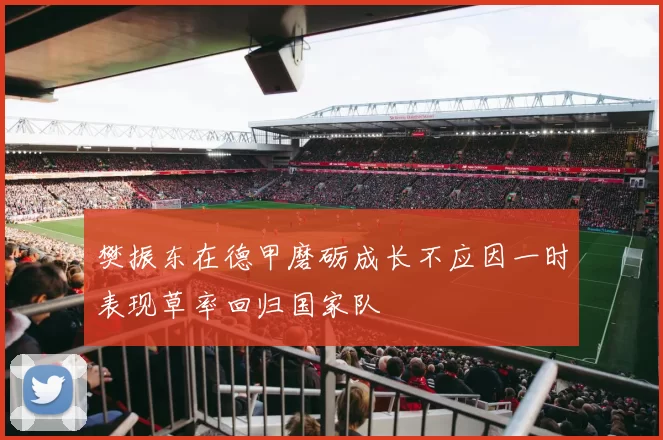 樊振东在德甲磨砺成长不应因一时表现草率回归国家队