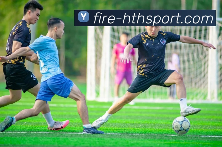 hth体育发展历程