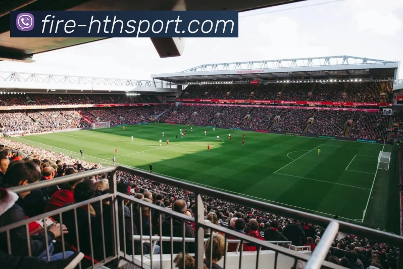 hth体育品牌故事